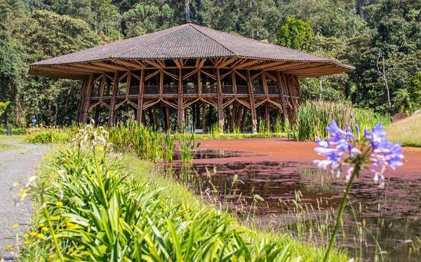 Disfruta Fin de Año en Manizales ESTELAR Recinto del Pensamiento Hotel & Centro de Convenciones Colombia - Manizales Disfruta Fin de Año en Manizales ESTELAR Recinto del Pensamiento Hotel & Centro de Convenciones Colombia - Manizales