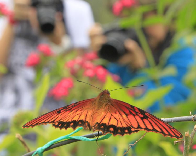 MARIPOSARIO ESTELAR Recinto del Pensamiento Hotel & Centro de Convenciones Manizales