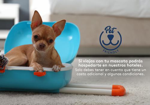 Admite mascotas ESTELAR Recinto del Pensamiento Hotel & Centro de Convenciones Manizales