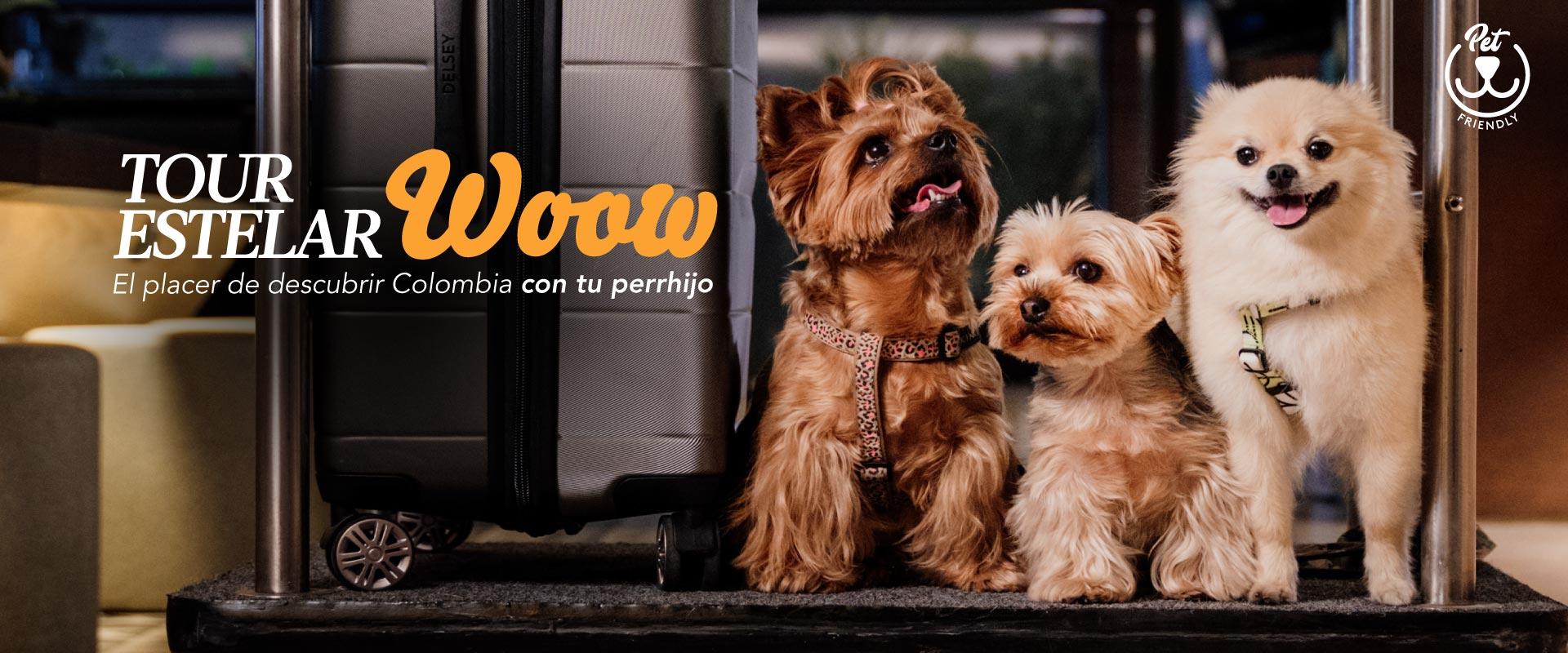 ESTELAR Recinto del Pensamiento Hotel & Centro de Convenciones Colombia - Manizales ESTELAR Recinto del Pensamiento Hotel & Centro de Convenciones Colombia - Manizales